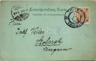 1898 (Vorläufer) Trieste, Trieszt; Corso / street at night (EK)