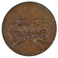 Belgium 1905. "Belga Királyság 1905 / Nemzetközi Világkiállítás Liege" kétoldalas bronz em...