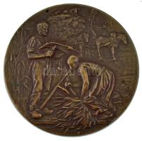 Franciaország DN Aratás kétoldalas bronz emlékérem. Szign.: A. Rivet (50mm) T:AU,XF France ND Reaping double-sided bronze commemorative medallion. Sign.: A. Rivet (50mm) C:AU,XF