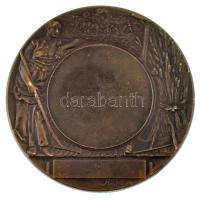 Franciaország DN "Aratás" kétoldalas bronz emlékérem. Szign.: A. Rivet (50mm) T:AU,XF
Fra...