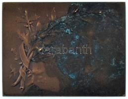 Franciaország DN "Nő könyvvel" kétoldalas bronz plakett. Szign.: Henri Dubois (41x51mm) T:...