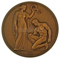 Berán Lajos (1882-1943) ~1937. "BSzKRT Sportegyesülete 1912-1937" kétoldalas bronz emlékérem eredeti tokban (62mm) T:UNC