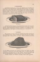 Blücher, P[aul Martin] (herausg.):

Meisterwerk der Speisen und Getränke Französich-Deutsch-Englis...