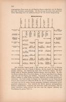 Blücher, P[aul Martin] (herausg.):

Meisterwerk der Speisen und Getränke Französich-Deutsch-Englis...