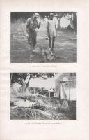 Almásy László:

Autóval Szudánba. Első autó-utazás a Nílus mentén. Vadászatok Angol-Egyiptomi Szud...