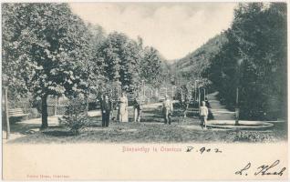 1902 Oravicabánya, Oravica, Oravicza, Oravita; Bányavölgy. Franz Grau kiadása / mine valley, park (EK)