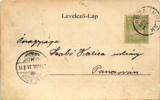 1905 Anina, Oravica-Anina, Oravita-Anina; részletek az anina-oraviczai hegyi pályáról, vasúti alagút...