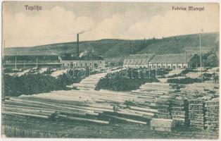 Maroshévíz, Toplita; Fabrica Muresel fűrészgyár / sawmill (szakadás / tear)