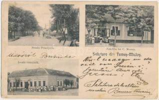 1911 Temesmiklós, Temes-Miclos, Nicolint, Nikolinci; Strada Principala, Scoala comunala, Pravalia lui C. Mosora / Fő utca, Iskola, Mosorka K. üzlete. Dajkovits J. utóda / main street, school, shop (fa)