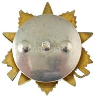 Szovjetunió ~1985. "Honvédő Háború Érdemrend I. osztálya" aranyozott, zománcozott Ag kitün...