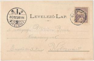 1900 Nagyenyed, Aiud; Városháza, Leányiskola, Bethlen Kollégium. Wokál János utóda kiadása / town ha...