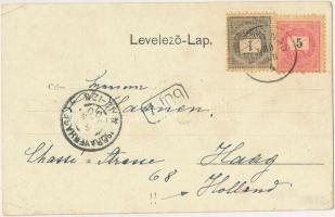 1900 Kápolnás, Caparias, Capalnas; Mocsonyi-Teleki kastély, teniszpálya. Haleska János fényképész / ...