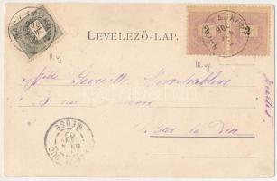 1900 Tusnádfürdő, Baile Tusnad; vasútállomás, árnyékszék / railway station, toilet (ázott sarok / we...