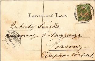 1906 Marosvásárhely, Targu Mures; Kossuth szobor, Bem szobor. Petróczy G. kiadása / statue, monument...