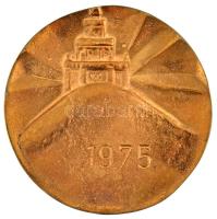 ~1970. A Hegyvidékért - XII. ker. tanács" kétoldalas, öntött bronz emlékplakett (85mm) T:AU,XF