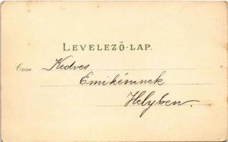 Budapest V. Parlament, Országház a Duna felől, gőzhajó. Verlag & Druck Kunst-Anstalt Rosenblatt ...