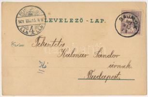 1901 Bajmok, Bajmak; látkép, községháza, templom, új iskola. Rigó István kiadása / general view, tow...