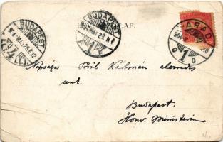 1904 Világos, Siria; várrom, Fő utca. Weber J. kiadása / castle ruins, main street. Art Nouveau, flo...