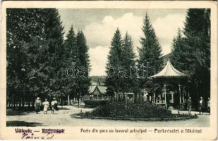 1931 Előpatak, Valcele; Parte din parc cu izvorul principal / Park részlet a főkúttal. E. Téglás kiadása / spa, park, spring source, well (EK)