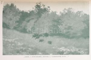 Bársony István: Magyar földön. Természet és vadászat. Olgyay Ferencz képeivel. Bp., én, Athenaeum. 2...