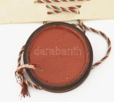 1917 Államtudományi oklevél Heyduck Gyula részére Pergamen függő viaszpecséttel