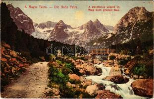 Tátra, Magas-Tátra, Vysoké Tatry; A Zöld-tóhoz vezető út / Weg zum grünen See / road to the lake (lyukak / pinholes)