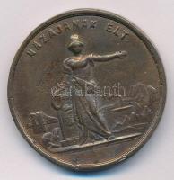 Wenzel Seidan (1817-1870) 1860. "Széchenyi István szül. 1792. szept. 17én - megh. 1860. ápril. ...