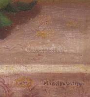 Mindszenthy jelzéssel: Virágok. Olaj, karton. Dekoratív, sérült fakeretben. 40x50 cm