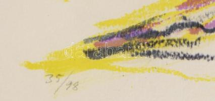 Bengt Olson (1930-): Átlós kompozíció. Litográfia, papír, jelzett. Számozott: 35/98. Üvegezett faker...