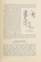 Dr. Páter Béla: A vadon termő gyógynövények. 74 ábrával Bp., 1912. Pátria. Kiadói, kopott egészvászo...