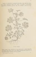 Dr. Páter Béla: A vadon termő gyógynövények. 74 ábrával Bp., 1912. Pátria. Kiadói, kopott egészvászo...