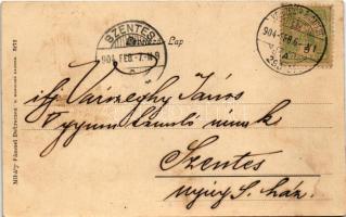 1904 Hortobágy (Debrecen), Déli corsó. Mihály Sámuel kiadása (EK)