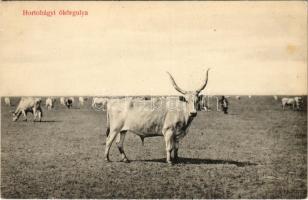 Hortobágy, ökörgulya. Ifj. Gyürky Sándor kiadása