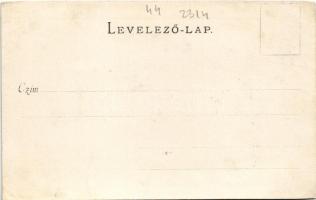 Budakeszi, Erdő utca. Hatschek Emil kiadása / Waldgasse (vágott / cut)