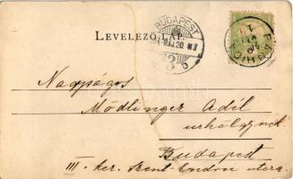 1904 Tatabánya, Bánhidai ezredéves emlékmű, Turulmadár. Schmidt Edgar kiadása (EM)