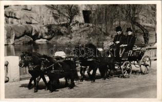 Budapest XIV. Székesfővárosi Állatkert, ötös pony fogat (póni). Hölzel Gyula felvétel