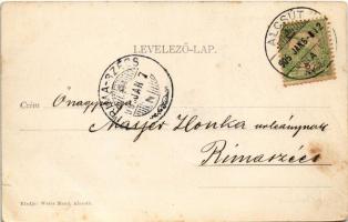 1905 Alcsút, Főhercegi kastély és udvara, községháza. Weisz Manó kiadása (szakadás / tear)