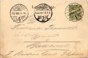 1902 Sopron, Oedenburg; Kossuth út feldíszített magyar címeres villamossal, lovaskocsi. Kummert L. k...