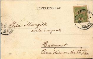 1905 Hőlak, Trencsén-Tepla, Trencianska Teplá;