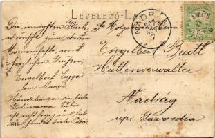 1907 Gyertyámos, Gertianosch, Gertiamos, Carpinis (Banat); Fő utca, Hoffmann P. Miklós üzlete. W.L. ...