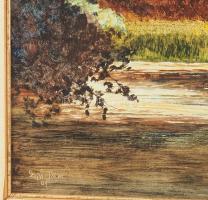 Egri Tibor ( - ): Vízpart. Olaj, farost, jelezve jobbra lent. Dekoratív, kissé sérült fakeretben, 40...