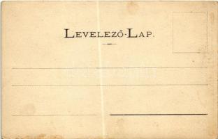 Lőcse, Levoca; Thurzó-félének nevezett gróf Csáky Vidor háza, üzletek. Braun Fülöp kiadása / mansion...