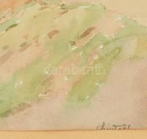 Olvashatatlan jelzéssel (Szontágh Tibor?), XX. sz. első fele: Napfényes táj. Akvarell, papír, lap sz...