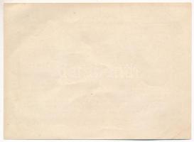 Miskolc 1919. "Borjegy" kitöltetlen T:AU