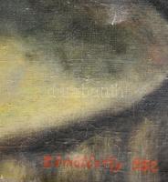 Dömötörffy jelzéssel: Csendélet. Olaj, vászon. Sérült. 80x60 cm