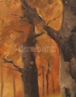 Beregi J jelzéssel: Erdő. Olaj, vászon, sérült. Dekoratív, sérült fakeretben. 60x80 cm