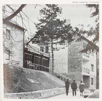 Bertalan Lajos: Vasi negyedszázad. Történelmi tudósítás 1945-1970. Szombathely, 1970, Vas megyei Nyo...