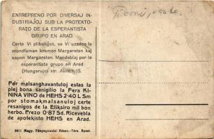 Arad, Nova stacidomo / új vasútállomás, autóbusz (eszperantó lap) / new railway station, autobus (Es...