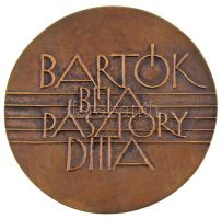 Csíkszentmihályi Róbert (1940-2021) DN "Bartók Béla és Pásztory Ditta" kétoldalas öntött b...