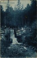 1918 Sósmező, Poiana Sarata; Cascada Caraslau / Karaszló vízesés / waterfall (ragasztónyom / glue marks)